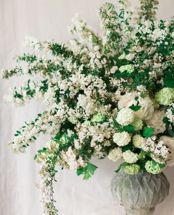 <div>Additional Flowering Shrubs to consider:</div>