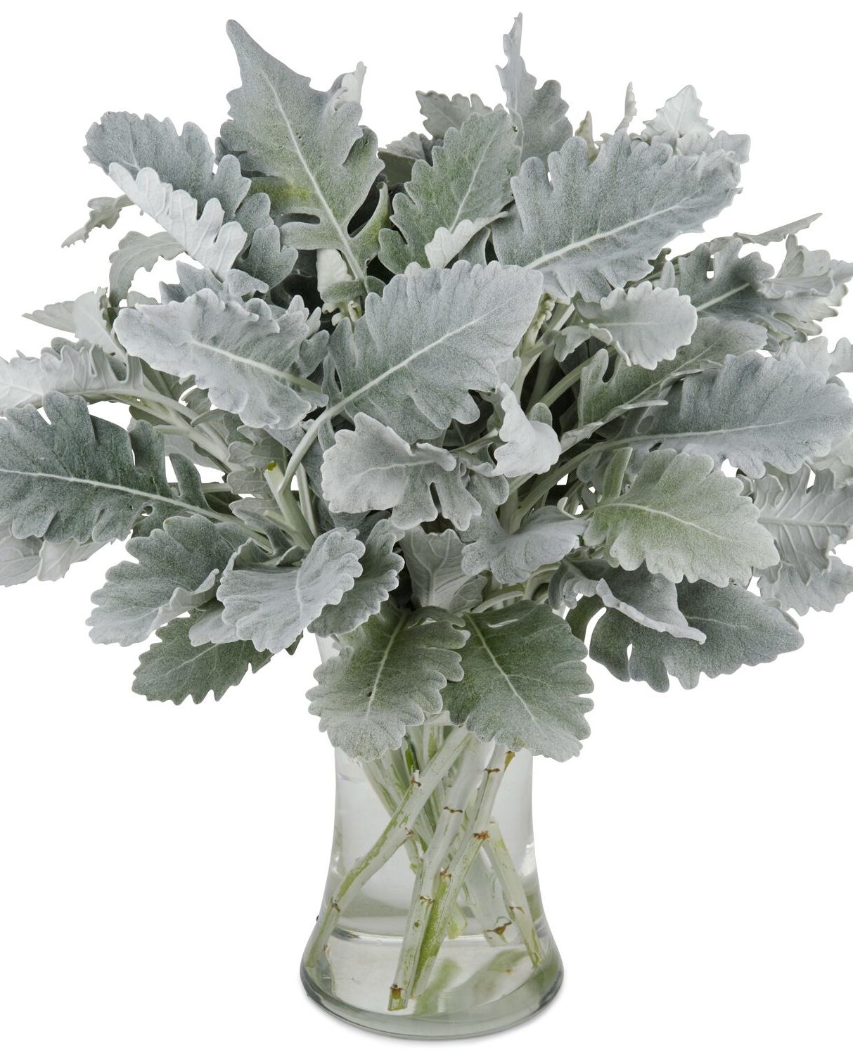 <div>Bulbs and Seasonal Plantings</div>