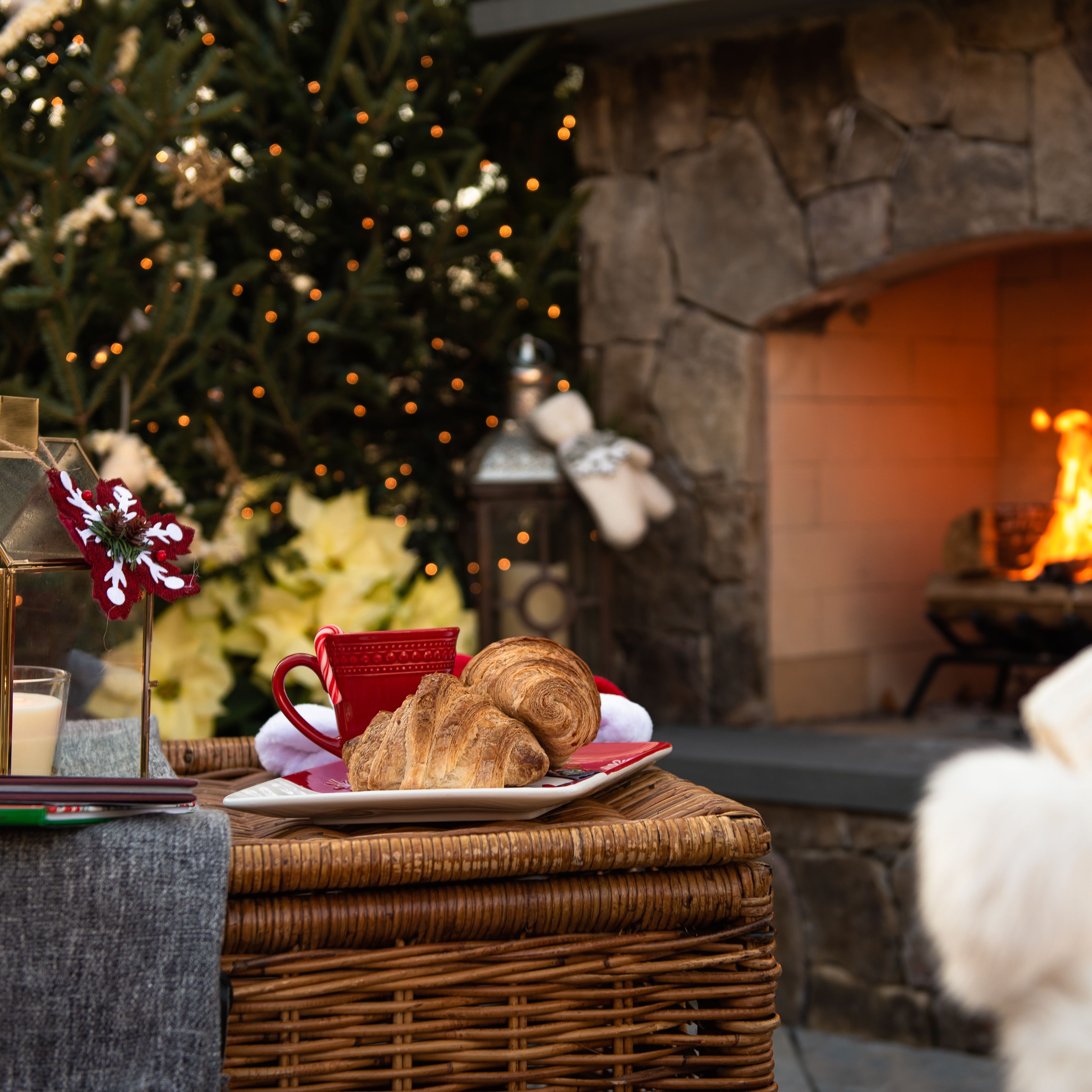 Morning Coffee by the Fire